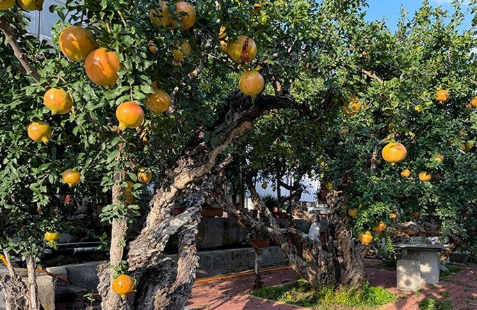 ????? “??????” ??????????????????????????????????????????????????????????????????????????????? ????????? ?????????????????